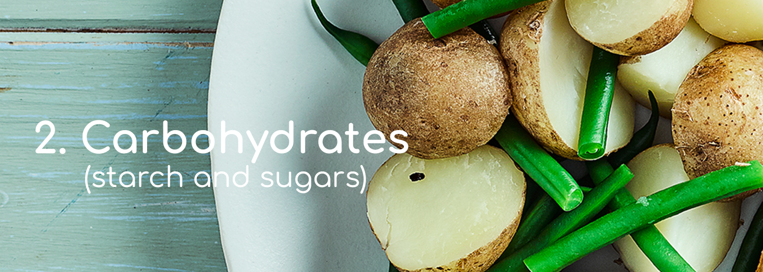 carbohydrates