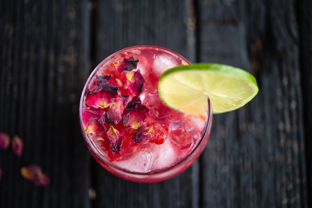 raspberryrosegandt-thehungryaustralian