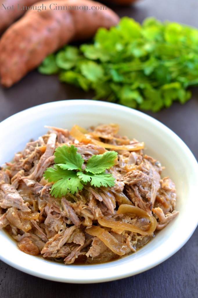 Slow Cooker Apple Onion Pulled Pork