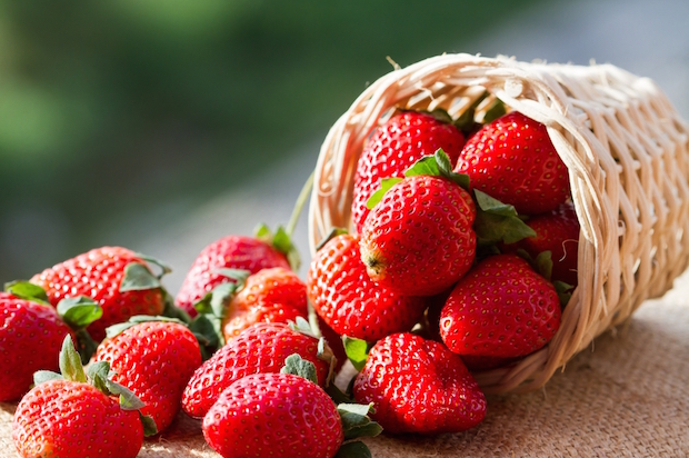 strawberries-servingjoy