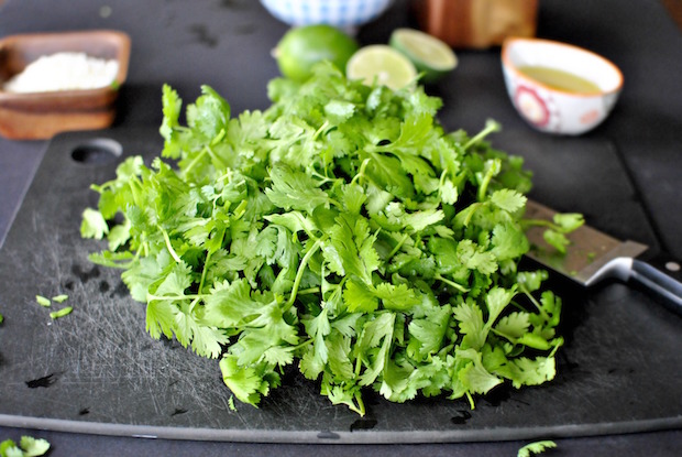 cilantro-pile