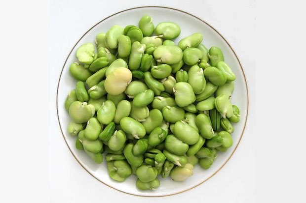 limabeans-cdn