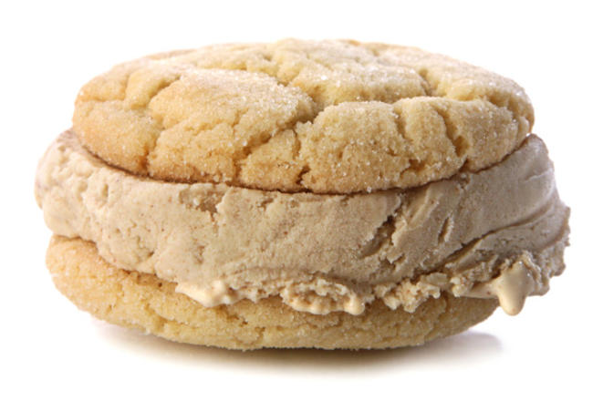 Snickerdoodle Ice Cream Sandwich
