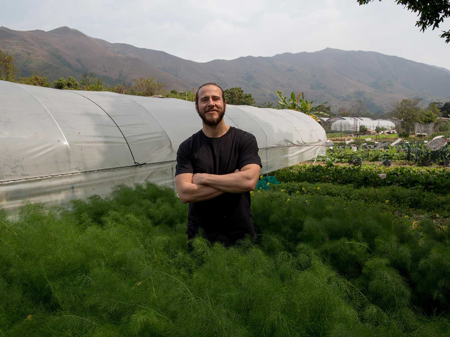 Darling at one of the farms he sources ingredients from for his restaurants.