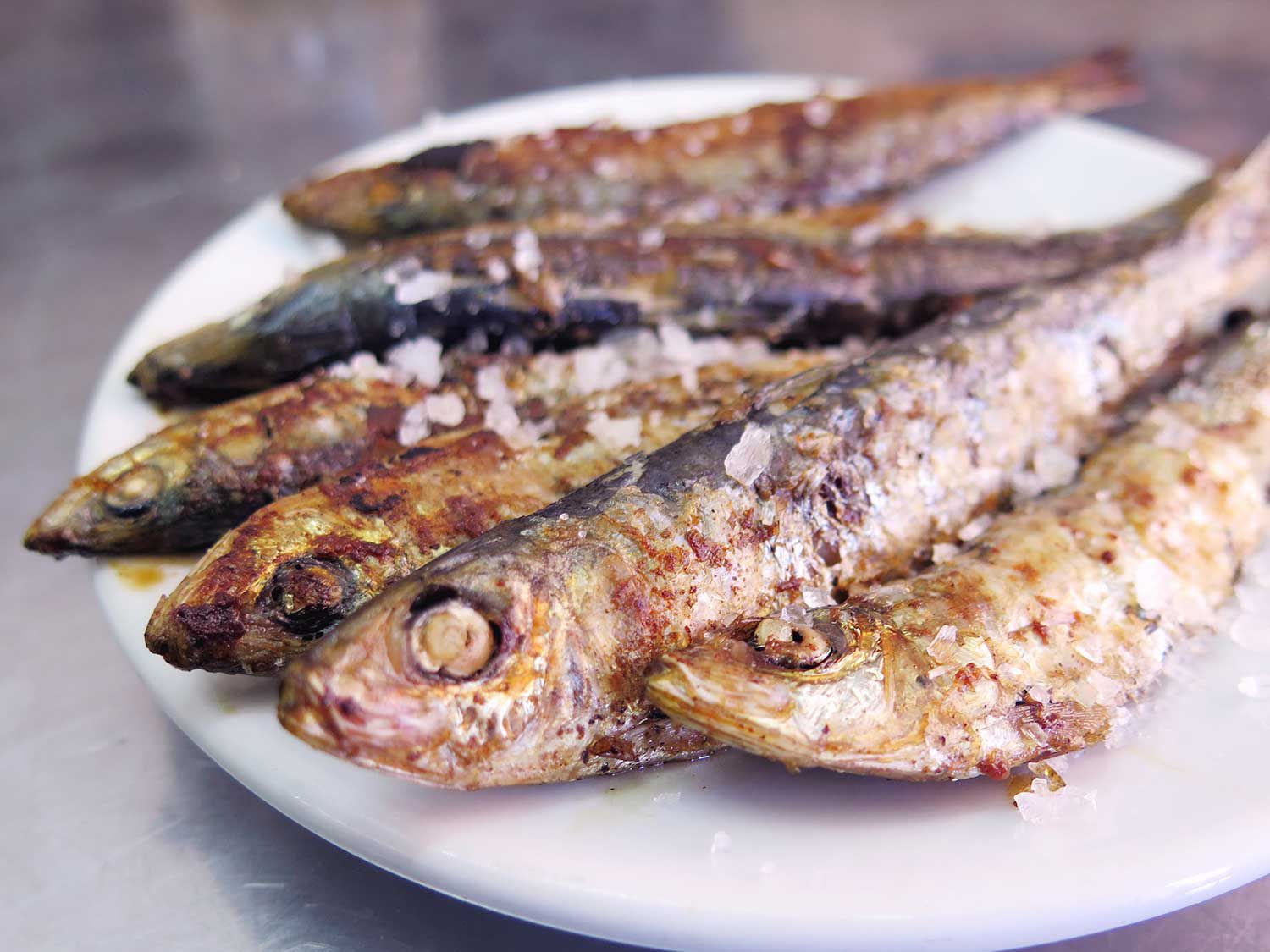 Sardines caught off the shores of Castellón