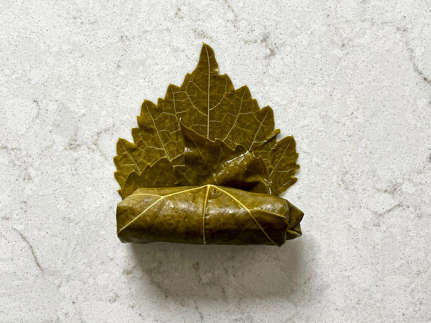 Half folded grape leaf
