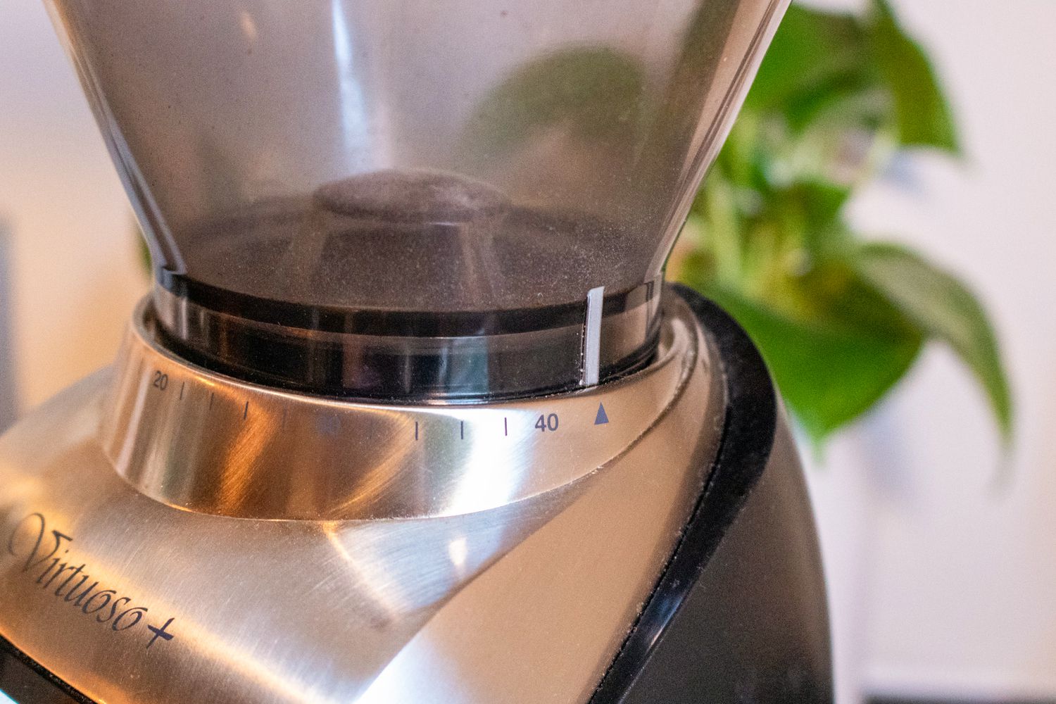Clean Coffee Grinder