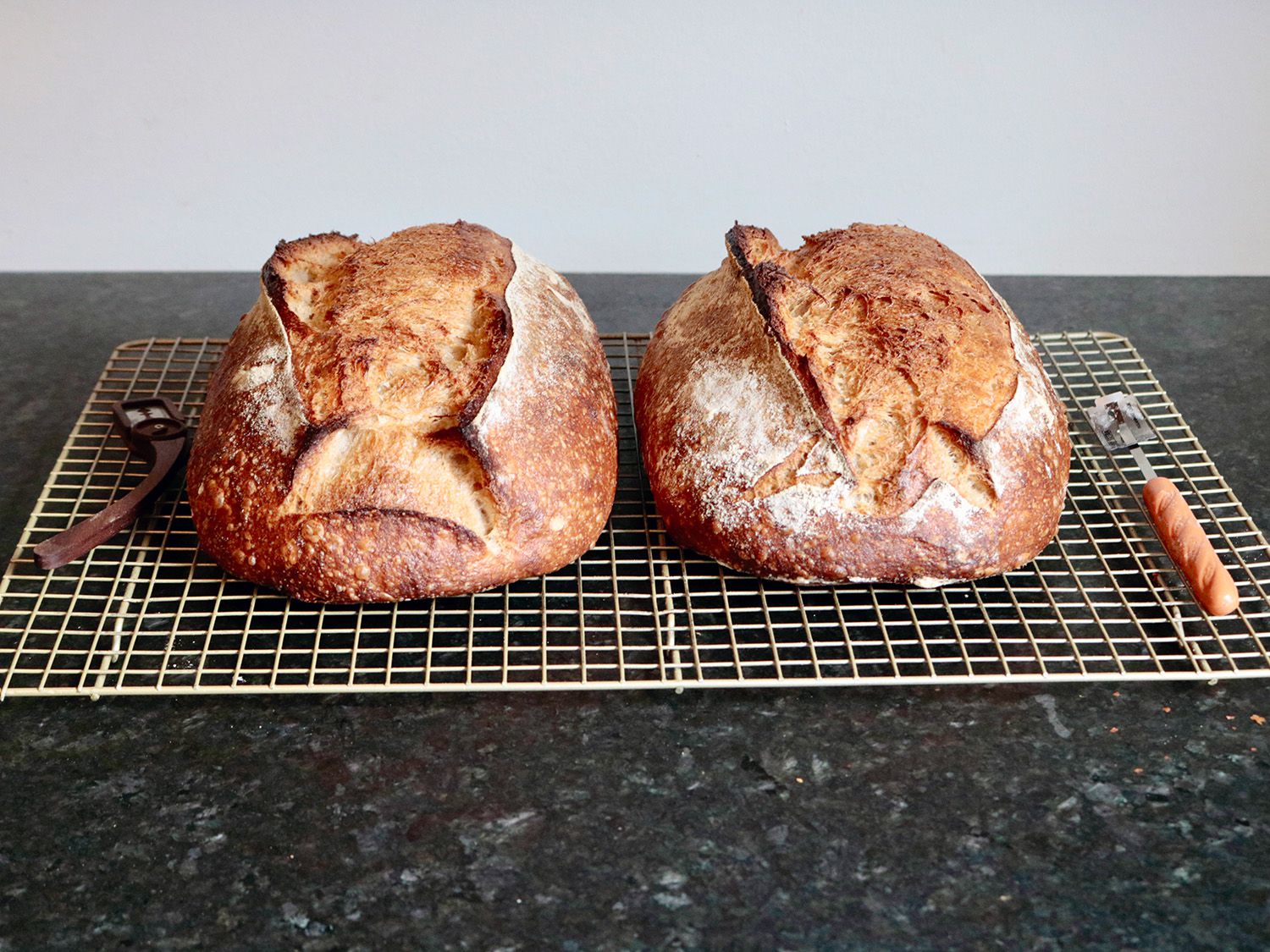 Two loaves of sourdough bread rest side by side on a wire rack with a straight bread lame and a curved bread lame next to them.