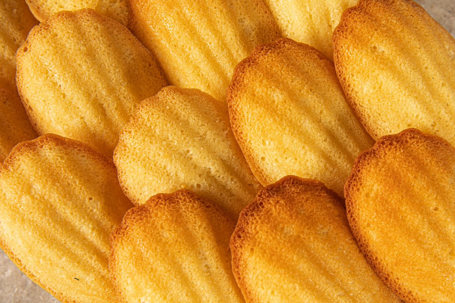 Close up of madeleines