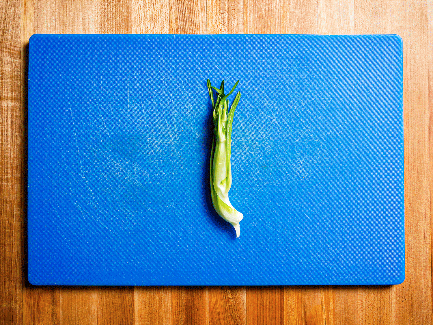Gif showing how to further break down puntarelle
