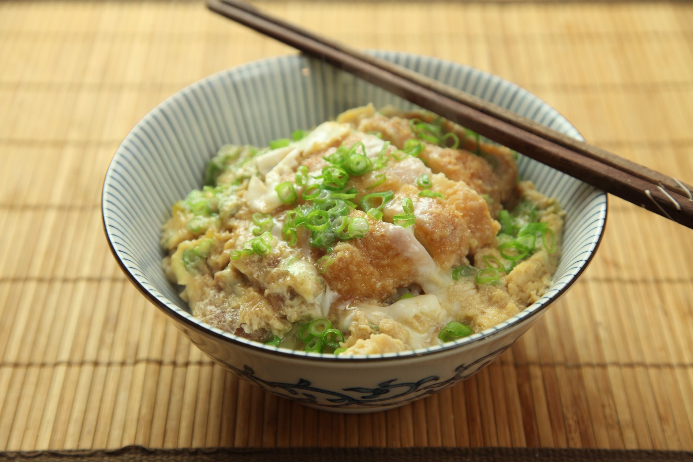 20170131-katsudon-2.jpg