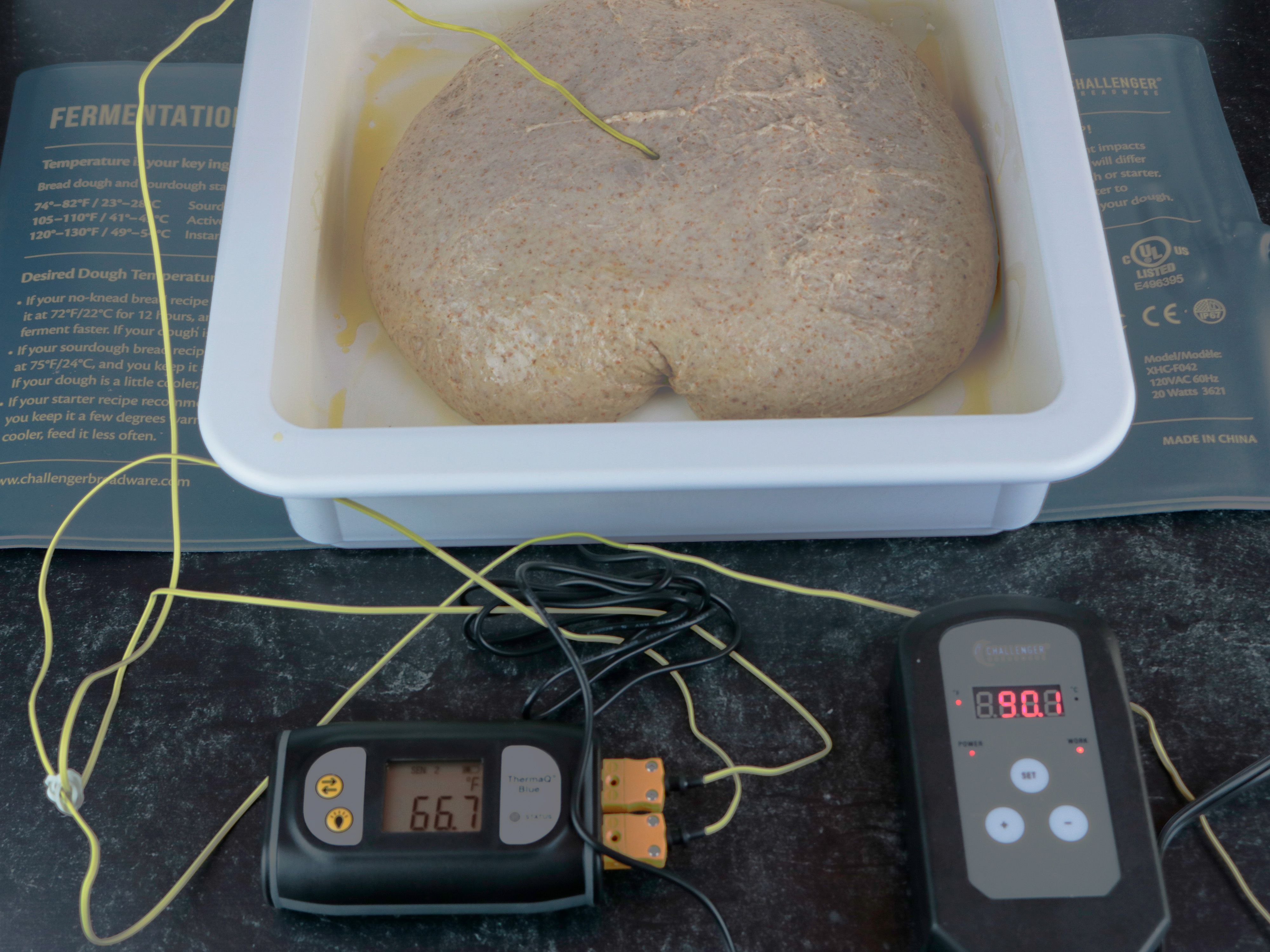a batch of sourdough showing 66 degrees Fahrenheit while the heating mat is set to 90 degrees Fahrenheit