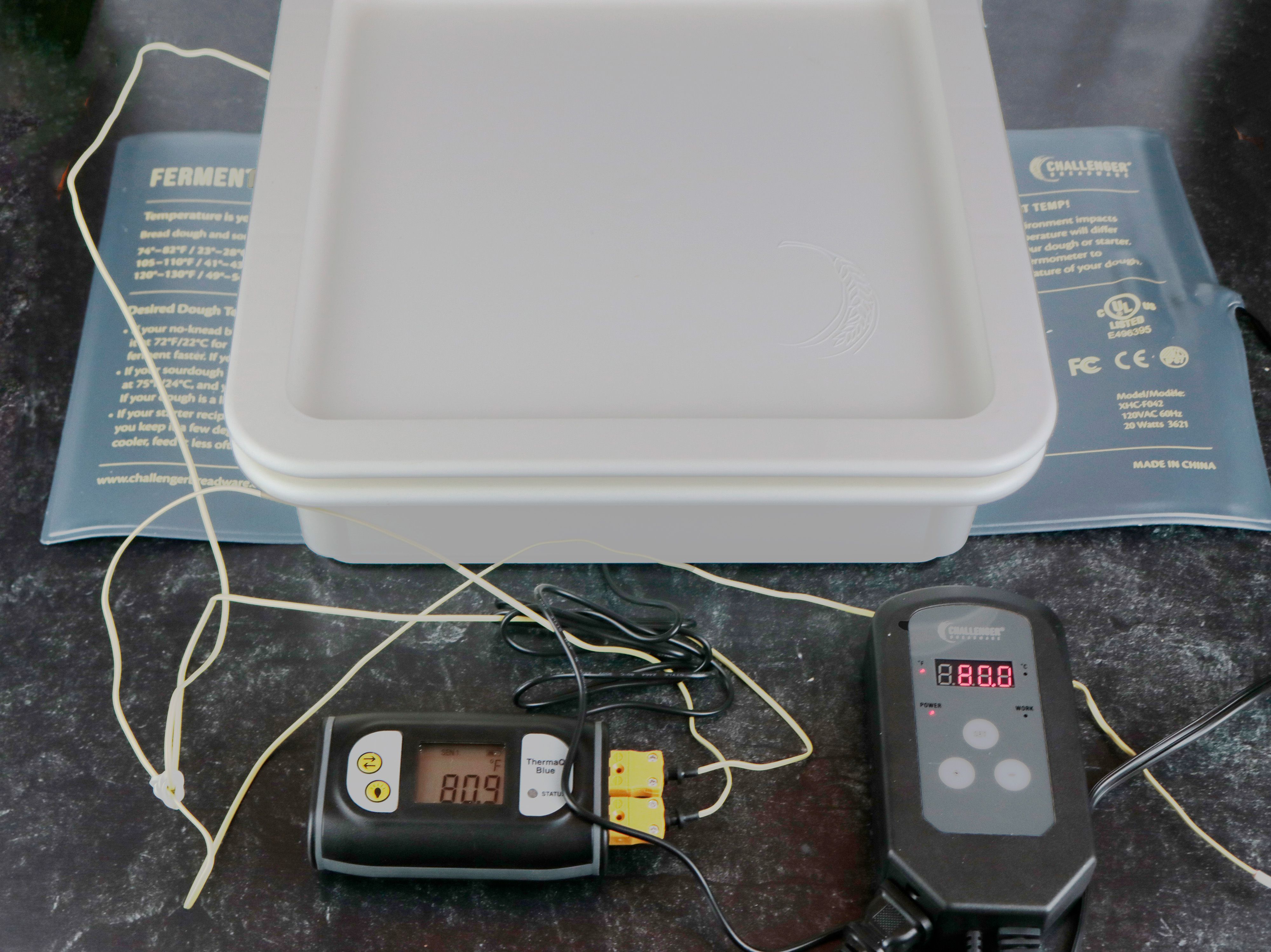a plastic box has a temperature probe showing the sourdough dough inside is 80.9 degrees Fahrenheit