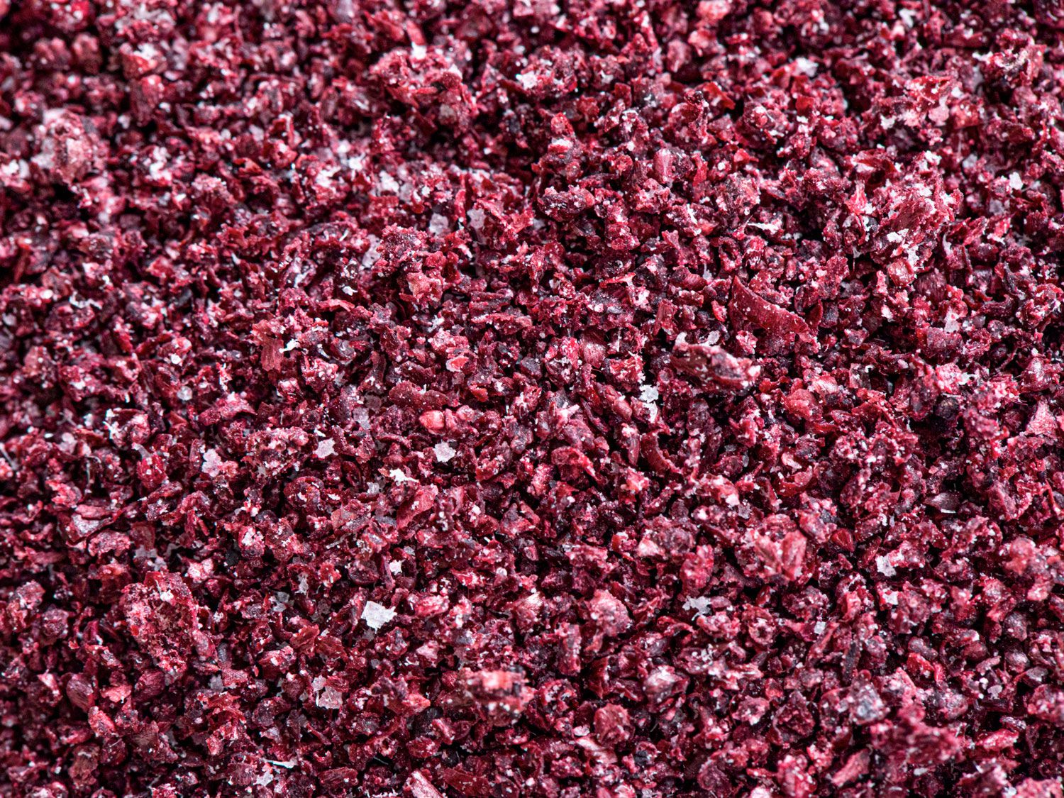 Macro view of sumac