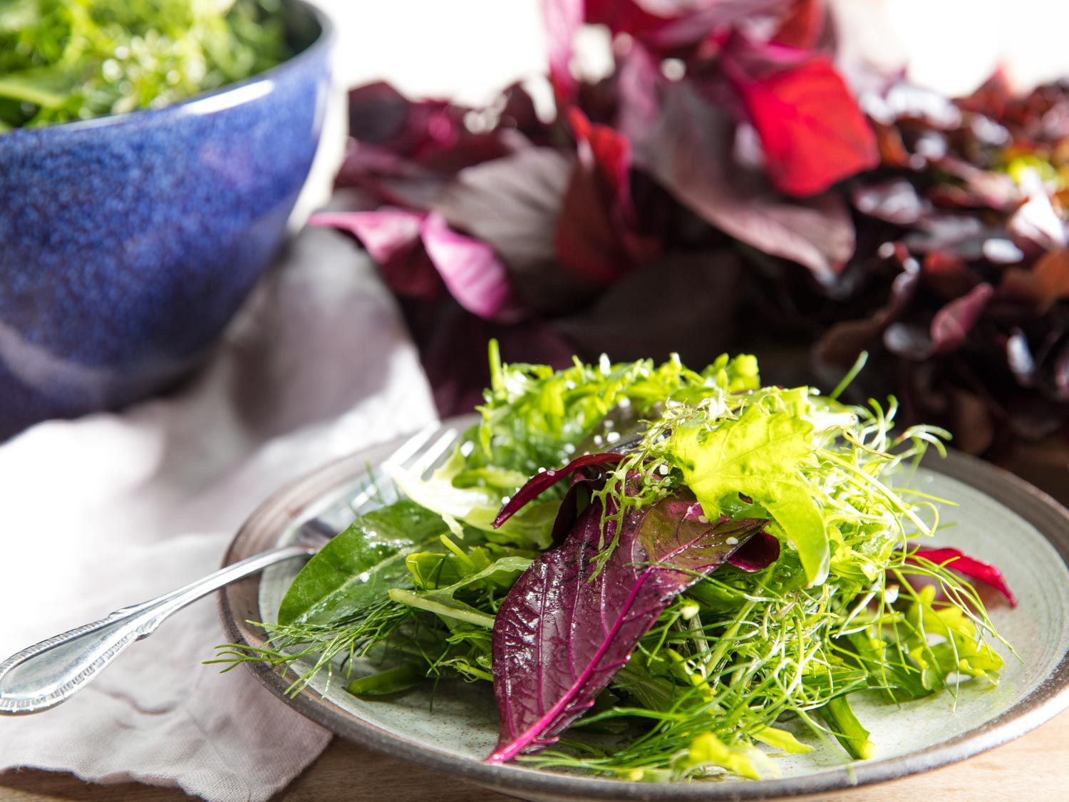 a plate of salad
