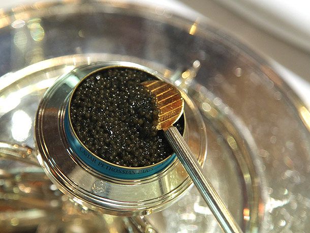 caviar in a tin with a golden spoon in it