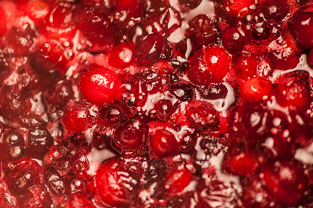 basic_cranberry_sauce_2_620